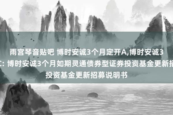 雨宫琴音贴吧 博时安诚3个月定开A，博时安诚3个月定开C: 博时安诚3个月如期灵通债券型证券投资基金更新招募说明书