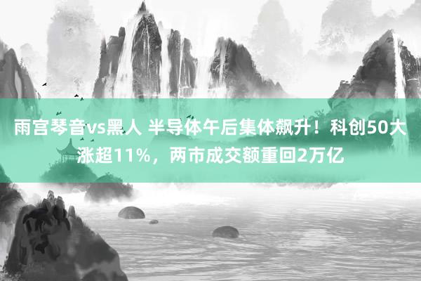 雨宫琴音vs黑人 半导体午后集体飙升！科创50大涨超11%，两市成交额重回2万亿