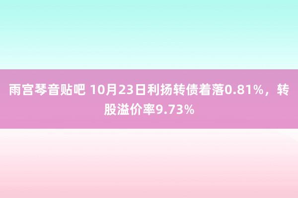 雨宫琴音贴吧 10月23日利扬转债着落0.81%，转股溢价率9.73%