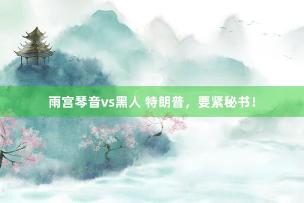 雨宫琴音vs黑人 特朗普，要紧秘书！