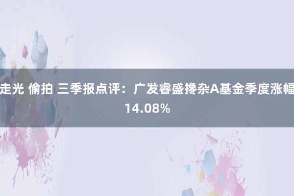 走光 偷拍 三季报点评：广发睿盛搀杂A基金季度涨幅14.08%