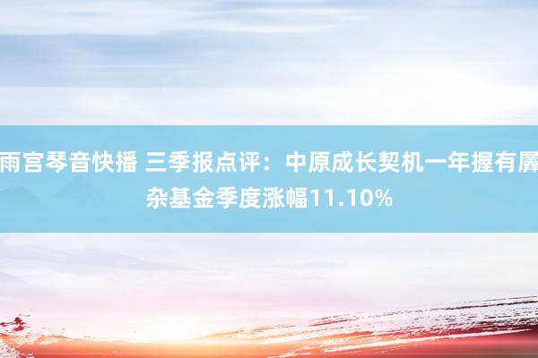 雨宫琴音快播 三季报点评：中原成长契机一年握有羼杂基金季度涨幅11.10%