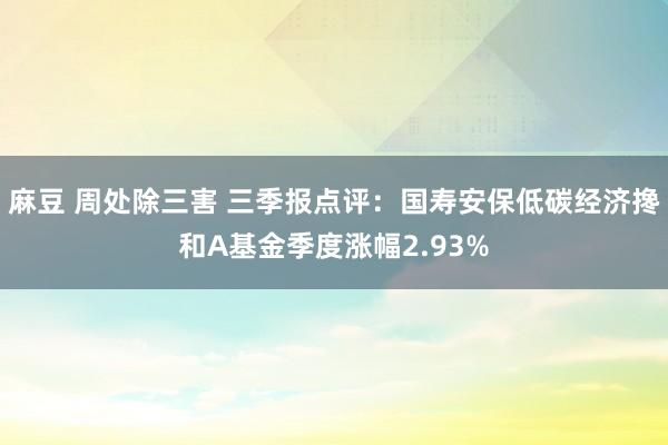 麻豆 周处除三害 三季报点评：国寿安保低碳经济搀和A基金季度涨幅2.93%