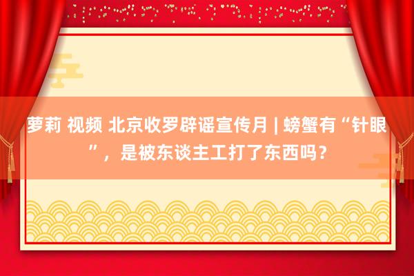 萝莉 视频 北京收罗辟谣宣传月 | 螃蟹有“针眼”，是被东谈主工打了东西吗？