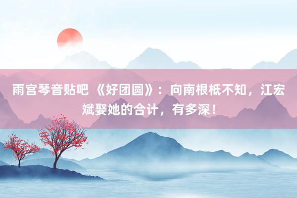 雨宫琴音贴吧 《好团圆》：向南根柢不知，江宏斌娶她的合计，有多深！