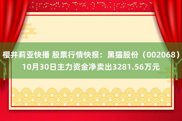 樱井莉亚快播 股票行情快报：黑猫股份（002068）10月30日主力资金净卖出3281.56万元