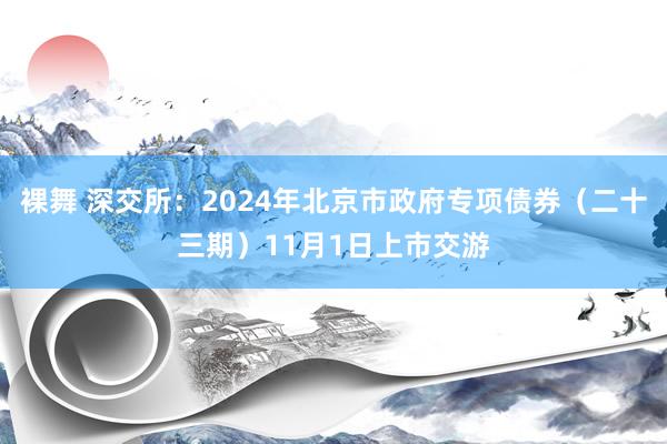 裸舞 深交所：2024年北京市政府专项债券（二十三期）11月1日上市交游