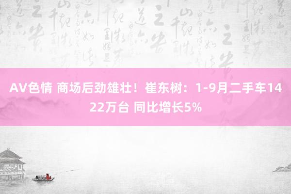 AV色情 商场后劲雄壮！崔东树：1-9月二手车1422万台 同比增长5%