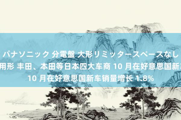 パナソニック 分電盤 大形リミッタースペースなし 露出・半埋込両用形 丰田、本田等日本四大车商 10 月在好意思国新车销量增长 1.8%