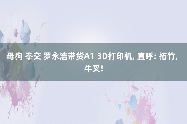 母狗 拳交 罗永浩带货A1 3D打印机， 直呼: 拓竹， 牛叉!