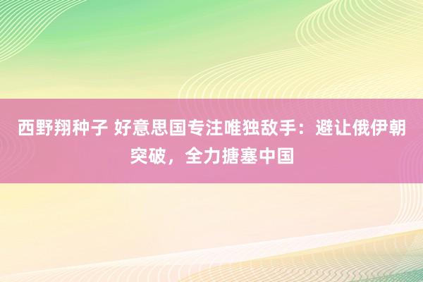 西野翔种子 好意思国专注唯独敌手：避让俄伊朝突破，全力搪塞中国