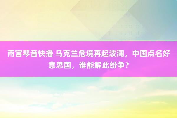 雨宫琴音快播 乌克兰危境再起波澜，中国点名好意思国，谁能解此纷争？