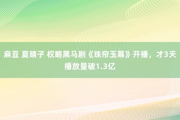 麻豆 夏晴子 权略黑马剧《珠帘玉幕》开播，才3天播放量破1.3亿