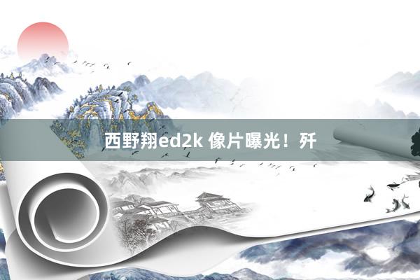 西野翔ed2k 像片曝光！歼