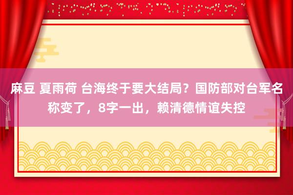 麻豆 夏雨荷 台海终于要大结局？国防部对台军名称变了，8字一出，赖清德情谊失控