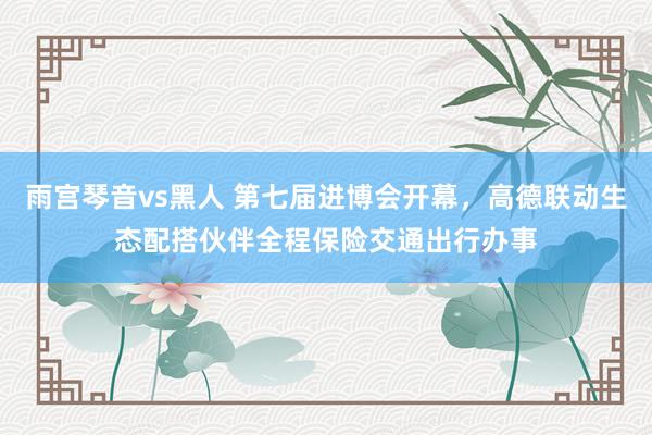 雨宫琴音vs黑人 第七届进博会开幕，高德联动生态配搭伙伴全程保险交通出行办事