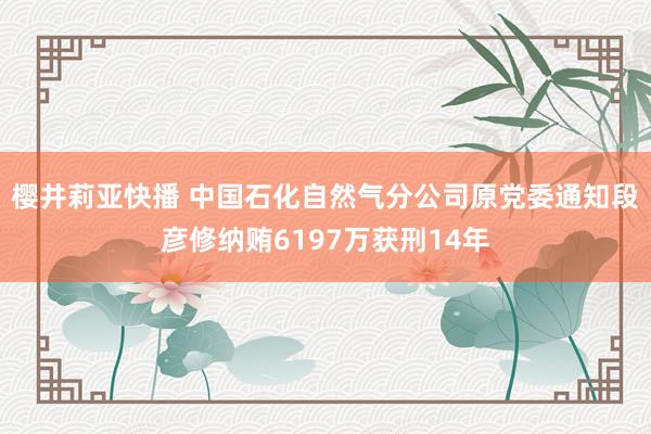 樱井莉亚快播 中国石化自然气分公司原党委通知段彦修纳贿6197万获刑14年