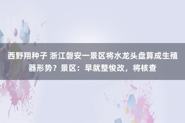 西野翔种子 浙江磐安一景区将水龙头盘算成生殖器形势？景区：早就整悛改，将核查