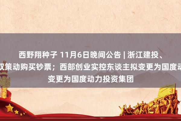 西野翔种子 11月6日晚间公告 | 浙江建投、德尔股份双双策动购买钞票；西部创业实控东谈主拟变更为国度动力投资集团