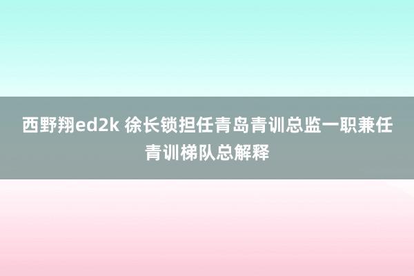 西野翔ed2k 徐长锁担任青岛青训总监一职兼任青训梯队总解释