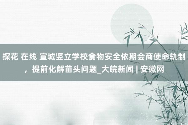 探花 在线 宣城竖立学校食物安全依期会商使命轨制，提前化解苗头问题_大皖新闻 | 安徽网