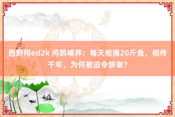 西野翔ed2k 鸬鹚哺养：每天能擒20斤鱼，相传千年，为何被迫令辞谢？