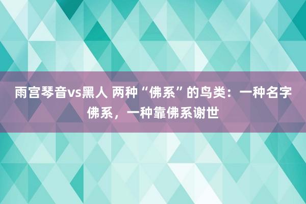 雨宫琴音vs黑人 两种“佛系”的鸟类：一种名字佛系，一种靠佛系谢世