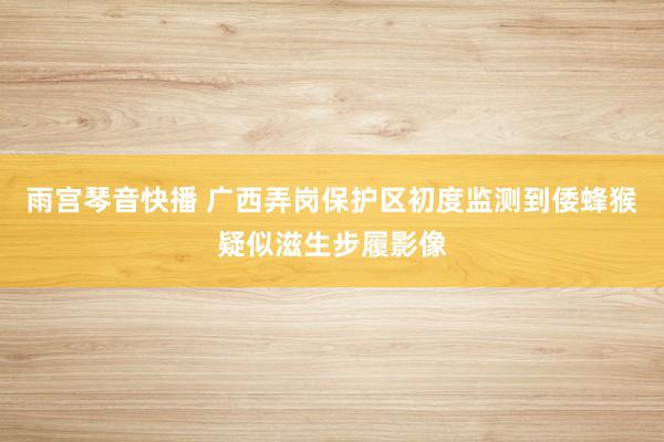 雨宫琴音快播 广西弄岗保护区初度监测到倭蜂猴疑似滋生步履影像