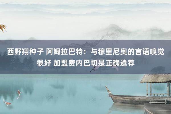 西野翔种子 阿姆拉巴特：与穆里尼奥的言语嗅觉很好 加盟费内巴切是正确遴荐