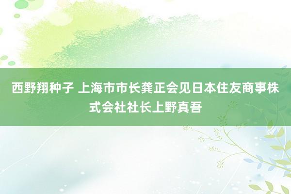 西野翔种子 上海市市长龚正会见日本住友商事株式会社社长上野真吾