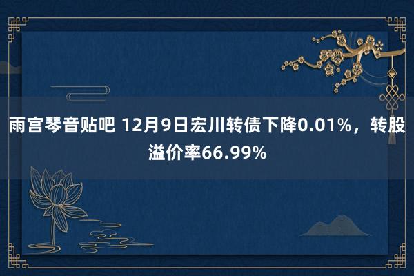 雨宫琴音贴吧 12月9日宏川转债下降0.01%，转股溢价率66.99%