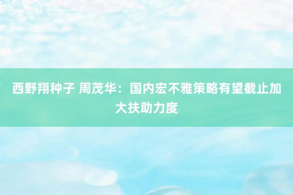 西野翔种子 周茂华：国内宏不雅策略有望截止加大扶助力度