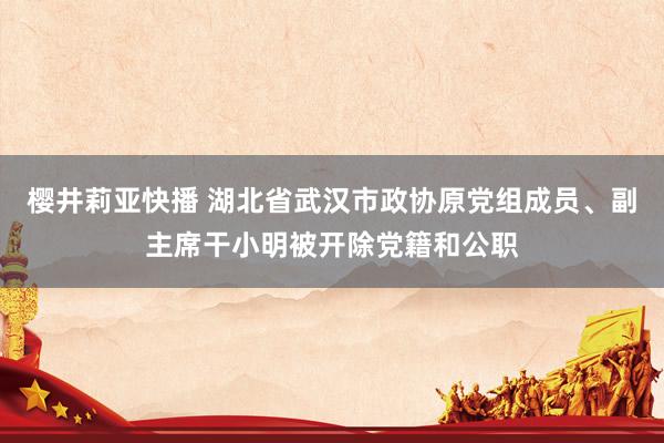 樱井莉亚快播 湖北省武汉市政协原党组成员、副主席干小明被开除党籍和公职