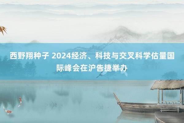 西野翔种子 2024经济、科技与交叉科学估量国际峰会在沪告捷举办