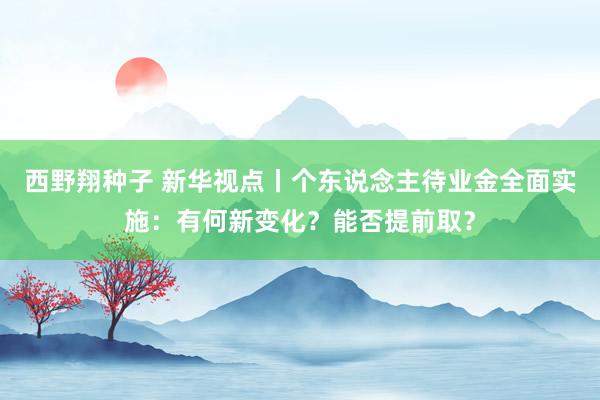 西野翔种子 新华视点丨个东说念主待业金全面实施：有何新变化？能否提前取？