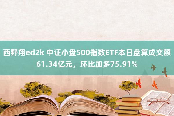 西野翔ed2k 中证小盘500指数ETF本日盘算成交额61.34亿元，环比加多75.91%