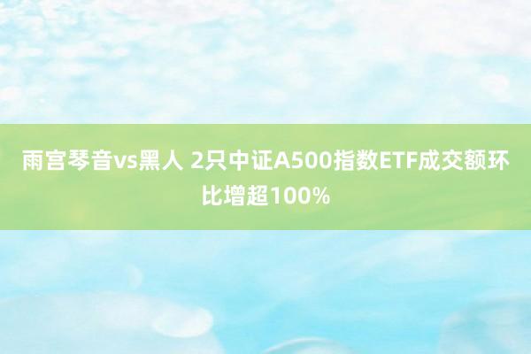 雨宫琴音vs黑人 2只中证A500指数ETF成交额环比增超100%