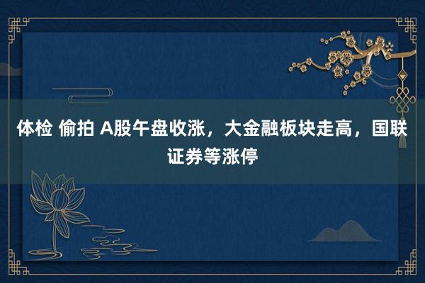 体检 偷拍 A股午盘收涨，大金融板块走高，国联证券等涨停