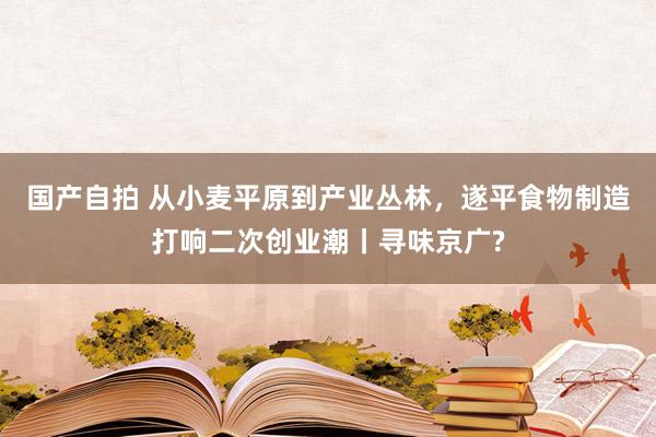 国产自拍 从小麦平原到产业丛林，遂平食物制造打响二次创业潮丨寻味京广?