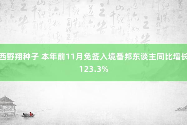 西野翔种子 本年前11月免签入境番邦东谈主同比增长123.3%