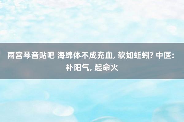 雨宫琴音贴吧 海绵体不成充血， 软如蚯蚓? 中医: 补阳气， 起命火