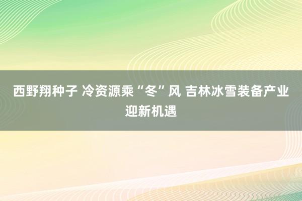 西野翔种子 冷资源乘“冬”风 吉林冰雪装备产业迎新机遇