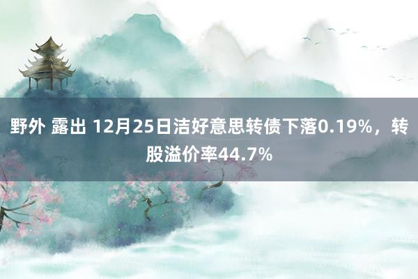 野外 露出 12月25日洁好意思转债下落0.19%，转股溢价率44.7%