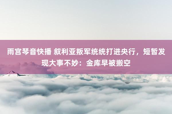 雨宫琴音快播 叙利亚叛军统统打进央行，短暂发现大事不妙：金库早被搬空