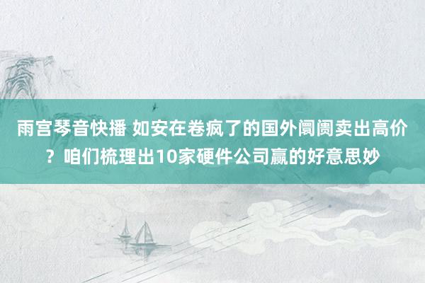 雨宫琴音快播 如安在卷疯了的国外阛阓卖出高价？咱们梳理出10家硬件公司赢的好意思妙