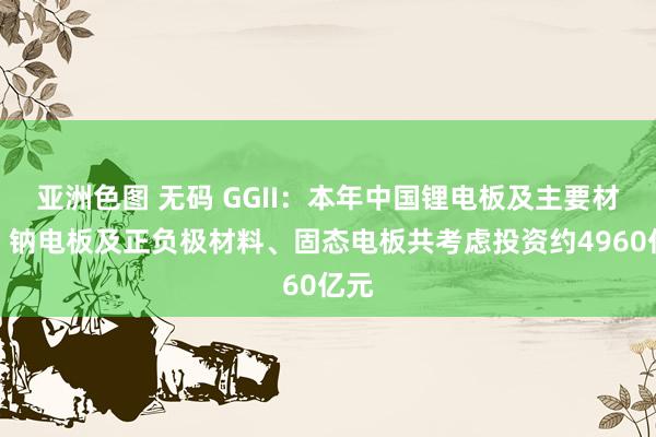 亚洲色图 无码 GGII：本年中国锂电板及主要材料、钠电板及正负极材料、固态电板共考虑投资约4960亿元