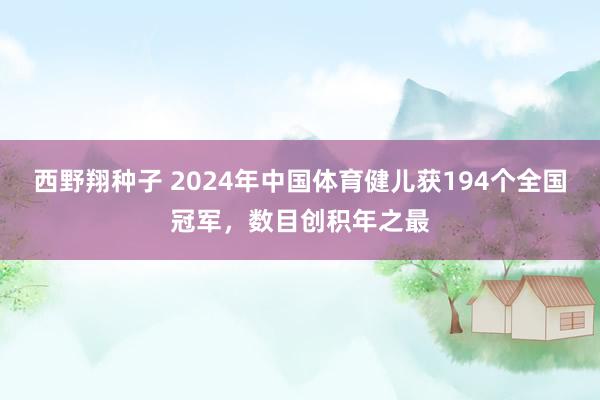 西野翔种子 2024年中国体育健儿获194个全国冠军，数目创积年之最