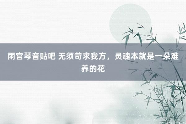 雨宫琴音贴吧 无须苛求我方，灵魂本就是一朵难养的花