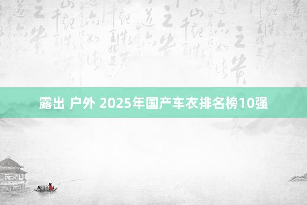 露出 户外 2025年国产车衣排名榜10强