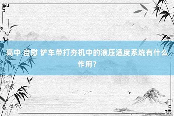 高中 自慰 铲车带打夯机中的液压适度系统有什么作用？